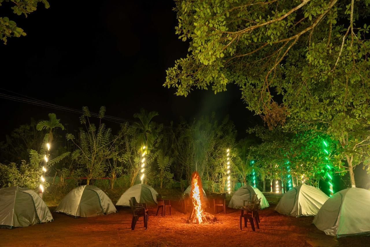 Dandeli Wild jungle resort