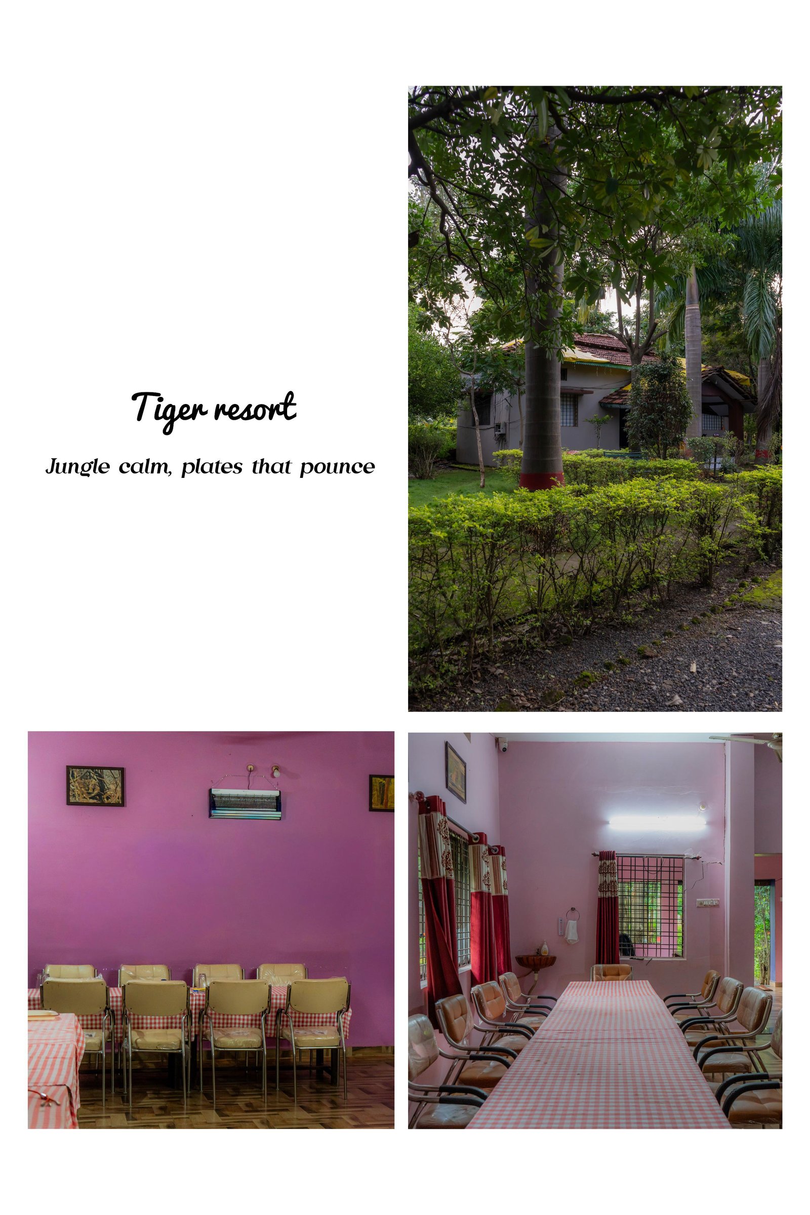 Nagzira Tiger Resort chorkhmara gate